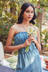 Wendeline Denim Jumpsuit