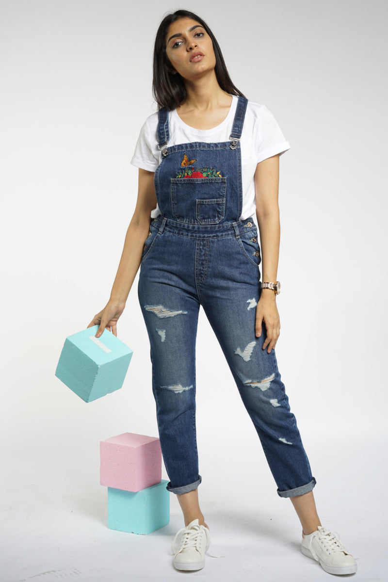 Aiden Denim Overalls